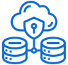 icons8-data-security-100 (3)