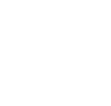 icons8-data-security-100 (4)